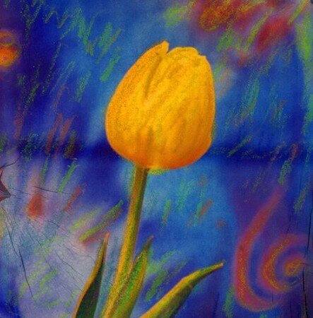 Tulipe_jaune