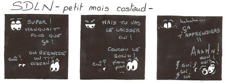 petit_mais_costaud
