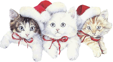 chat-noel-2