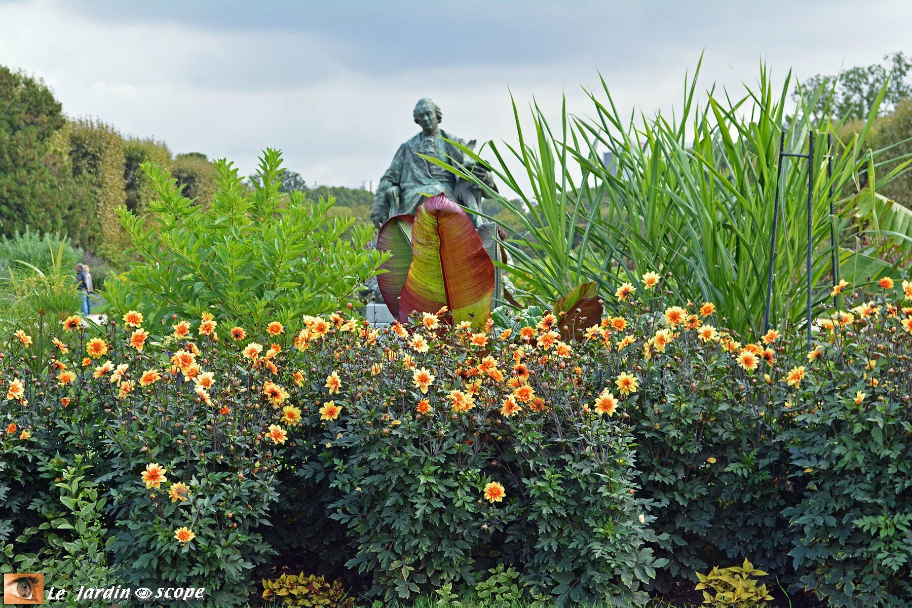 Jardin des plantes, parterre de dahlias aux pieds de Buffon