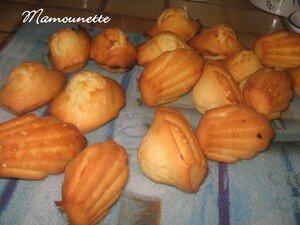 Madeleines___la_fleur_d_oranger_et___la_farine_levante_015
