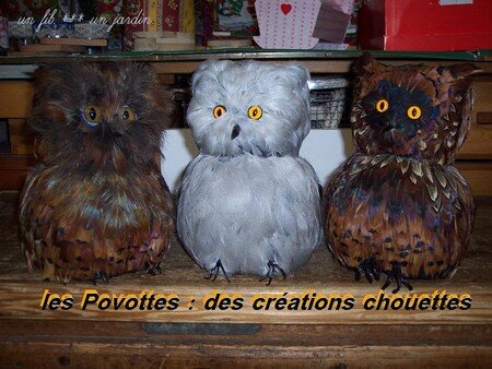3_chouettes