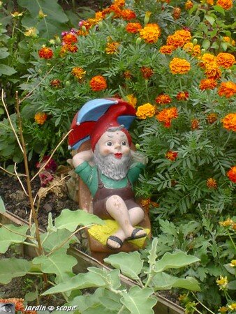 Monsieur_le_Nain_de_jardin