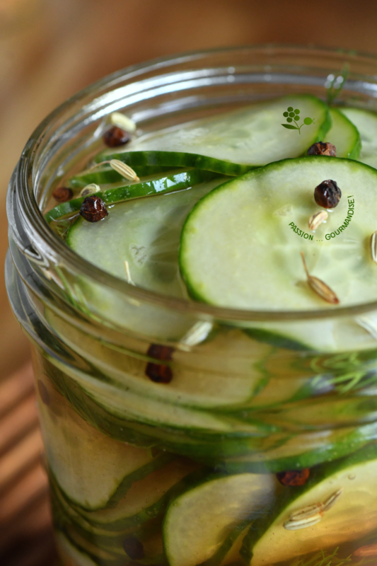 Pickles de concombre_3
