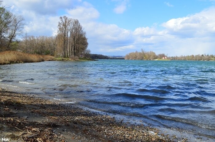 190311_GG_Rhone