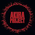 The <b>Akira</b> Project