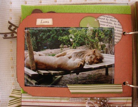 Page_6_zoo