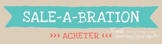 demoHeader_SAB_Shop_demo_Dec0113_FRaacheter