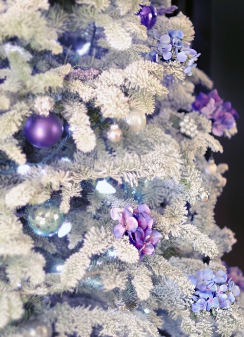 sapin_blanc_hortensia_mauve