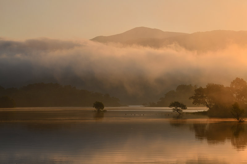 35962406024_5bedd2b7c1_o