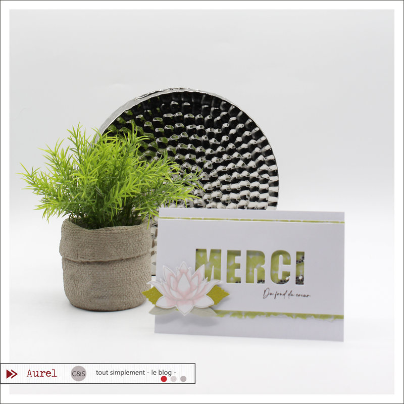 03 - 090322 - Carte Merci du fond du coeur - Shaker card Maryscrap #1