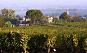 Route des vins nouvelle mai 2013