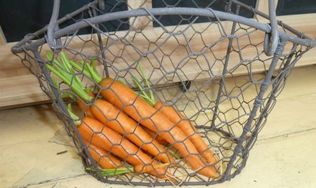15-carottes