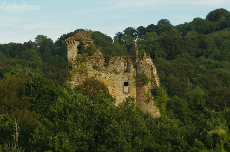 && château de Branzac (10)