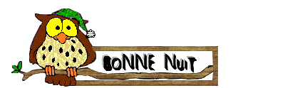 BONNE_NUIT1