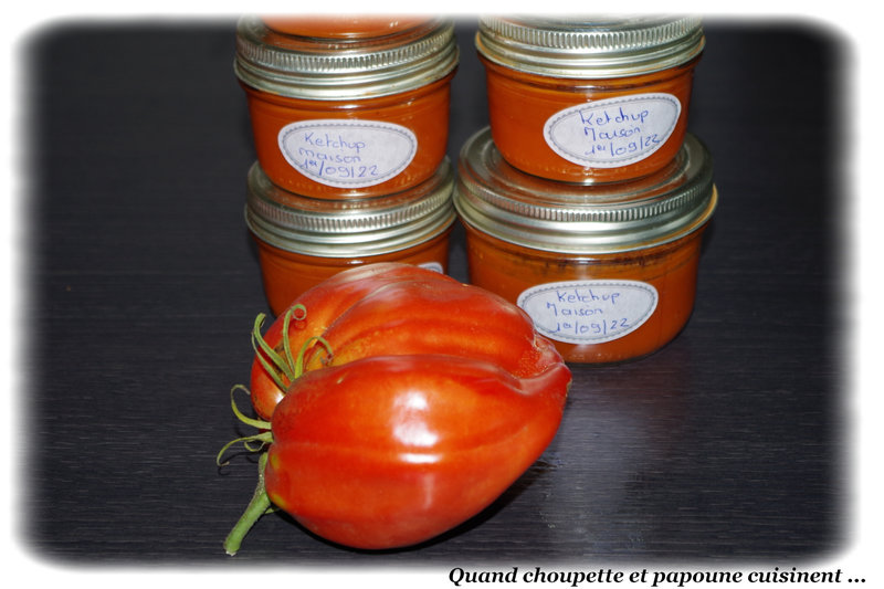 ketchup maison-1408