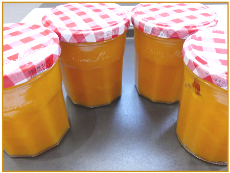 confiture de potimarron à la noix de coco10