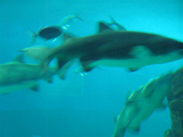 20juin2008 131
