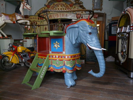 elephant7