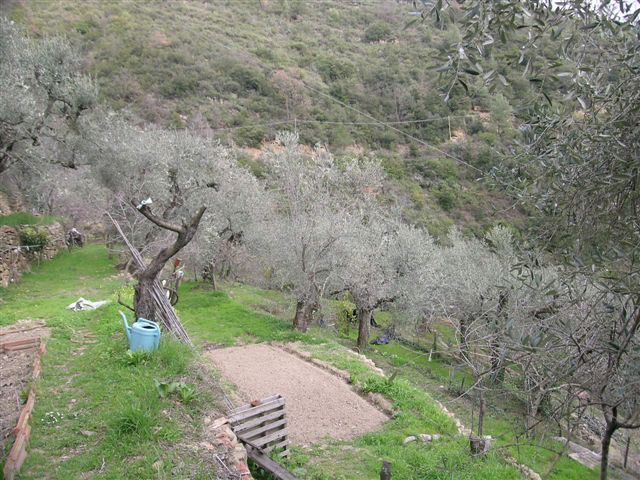 Dolceacqua Rosa 042