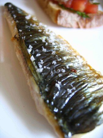 tapas_sardine___tomate_3