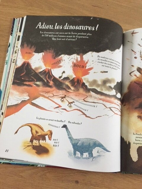 mon grand livre illustré les dinosaures 4