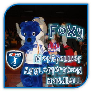 D1 Montpellier Foxy