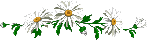 Barre_Marguerites