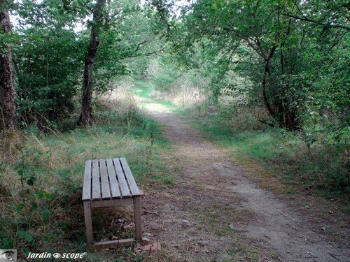Banc simple en bois le long du sentier à Drulon