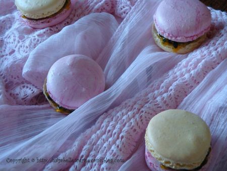 macarons passion