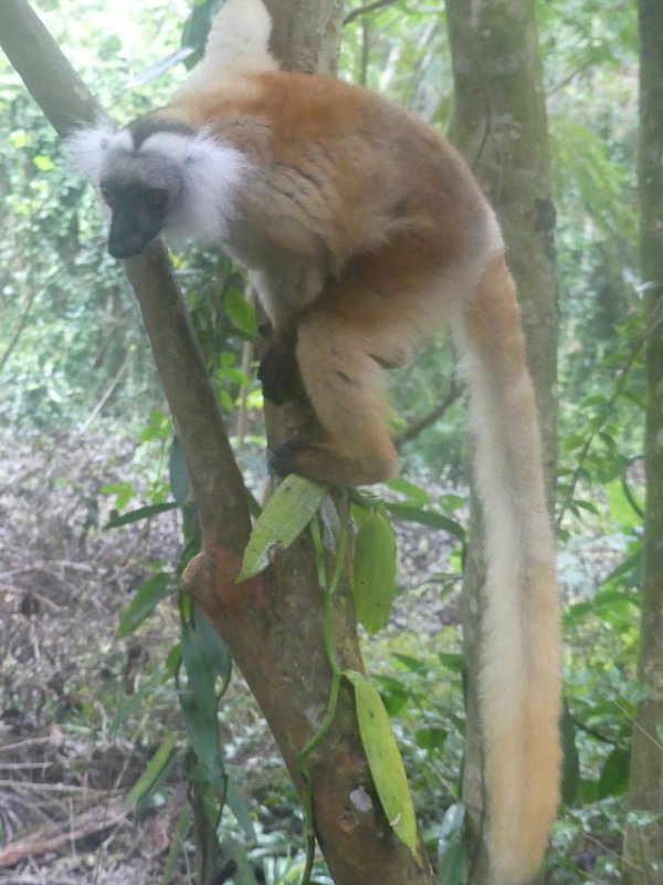 P1250108