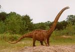 le_diplodocus