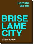 brise_lame_city_blog