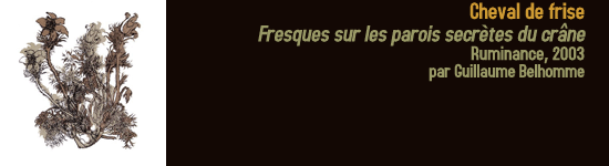 cheval_de_frise_fresques_sur_les_parois_secr_tes_du_cr_ne