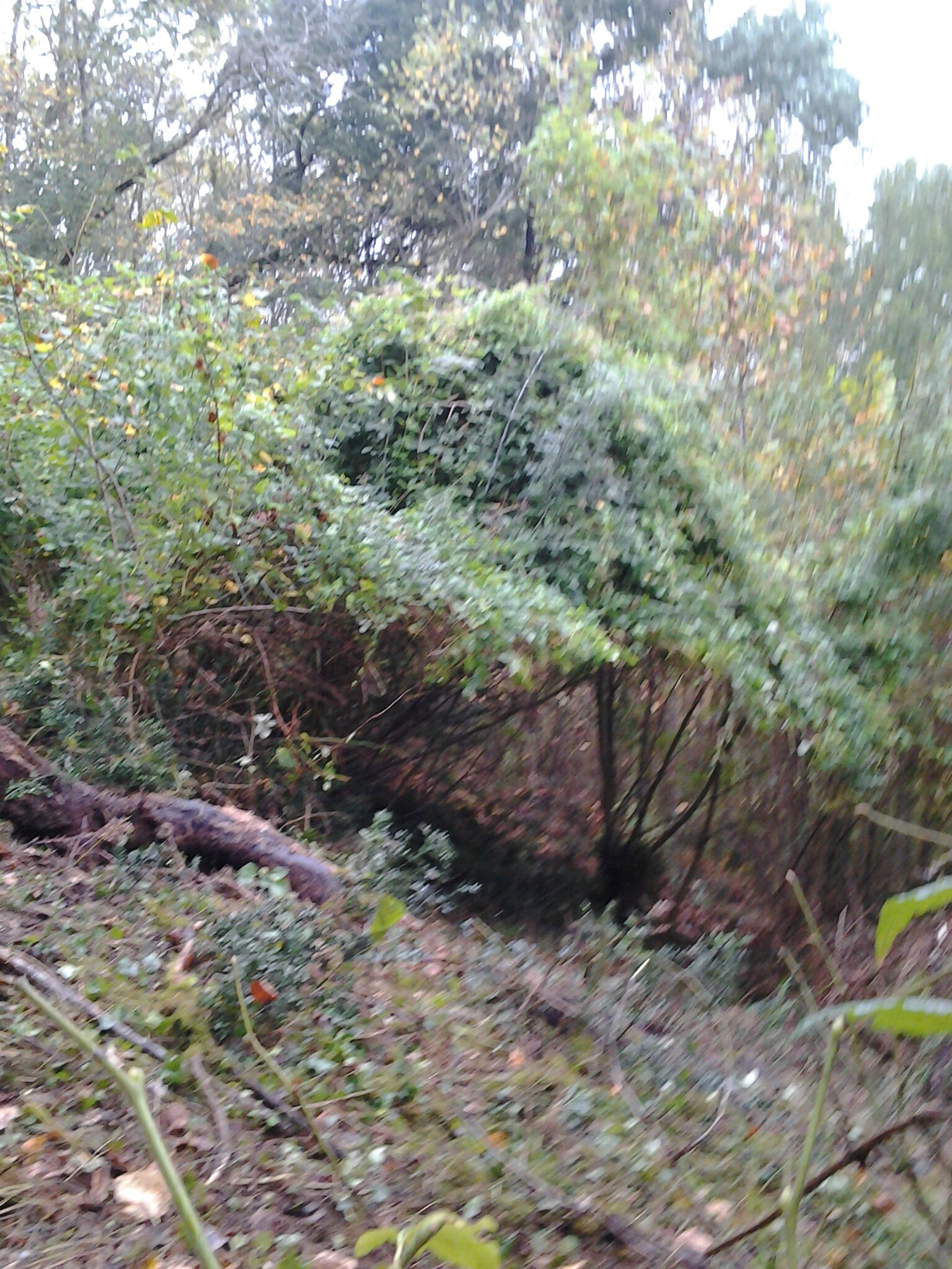 20130928_121115