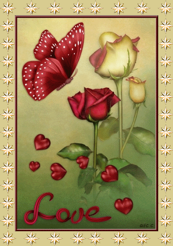 Roses love 1