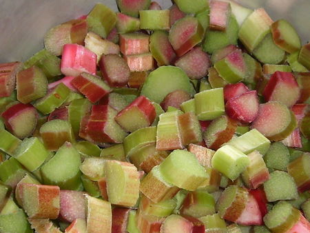 confiture_rhubarbe_007