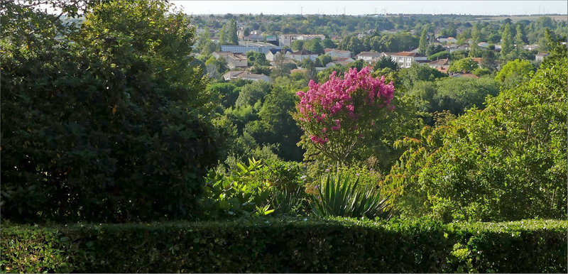 Ville ilot fraicheur JP 140823