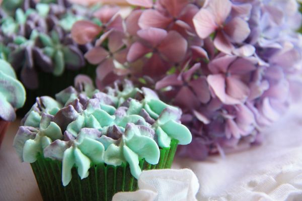 CUPCAKES HORTENSIAS CHOCO NOIX DE COCO