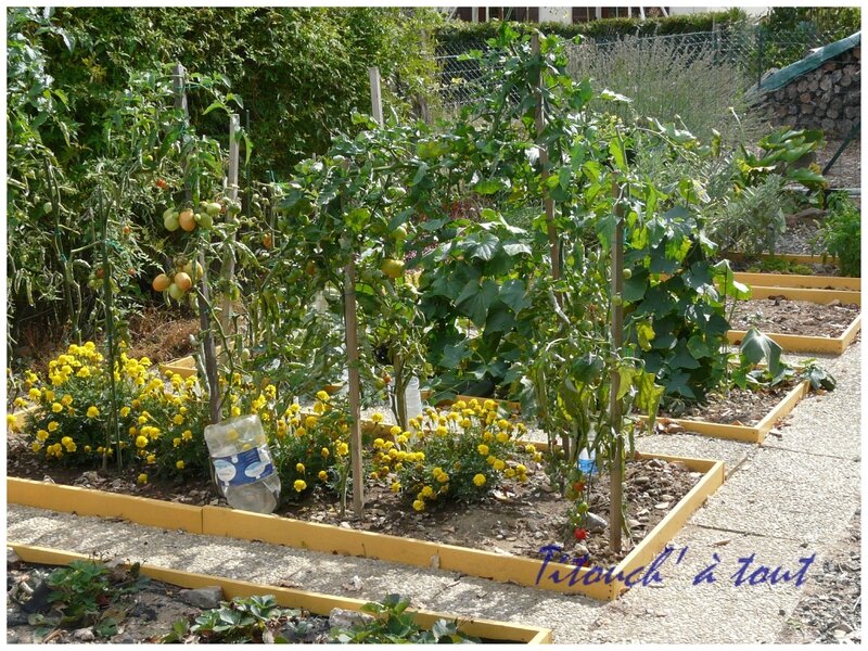 Préparer mon potager pour l\'été - Titouch à tout Préparer mon potager pour l\'été - Titouch à tout