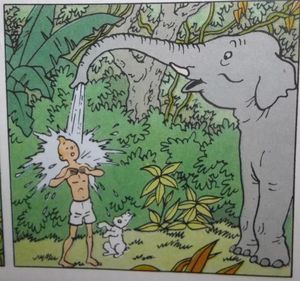 Tintin prend une douche dans la jungle
