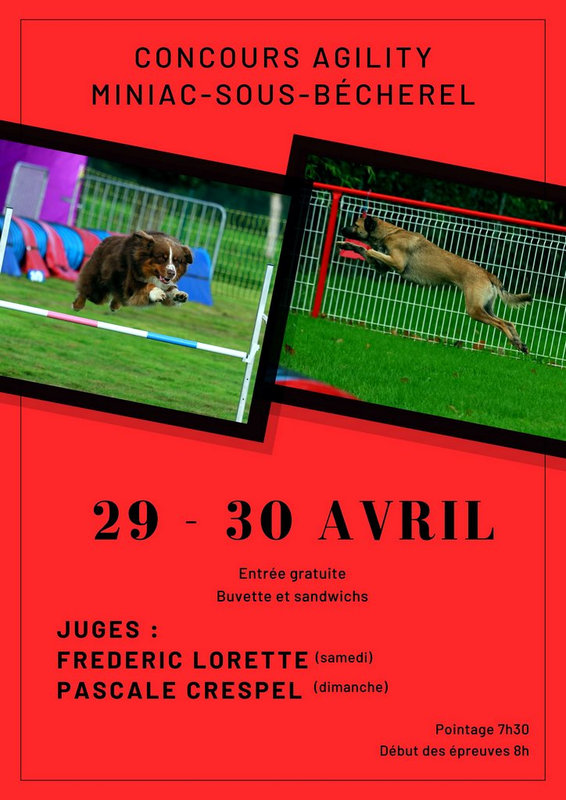 Affiche concours d'agility Miniac 2023