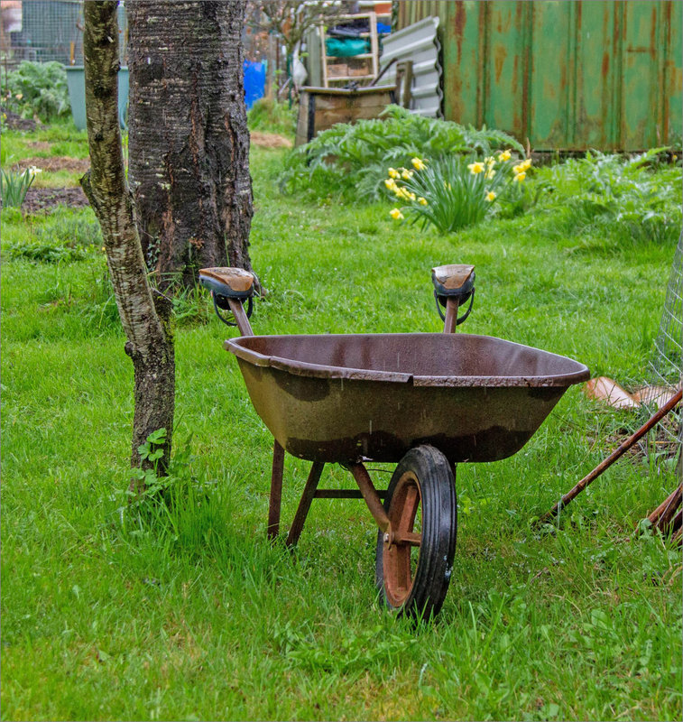 Pluie jardin brouette 130322