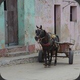 Cuba Trinidad Cheval