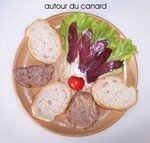 assiette_autour_du_canard_WEB