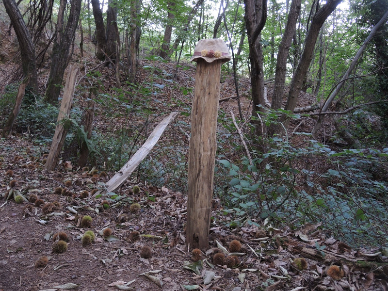 Mont Ursuya, sentier surprise