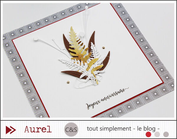 081020 - Carte Joyeux anniversaire - DT C&S Consignes Célinette #4
