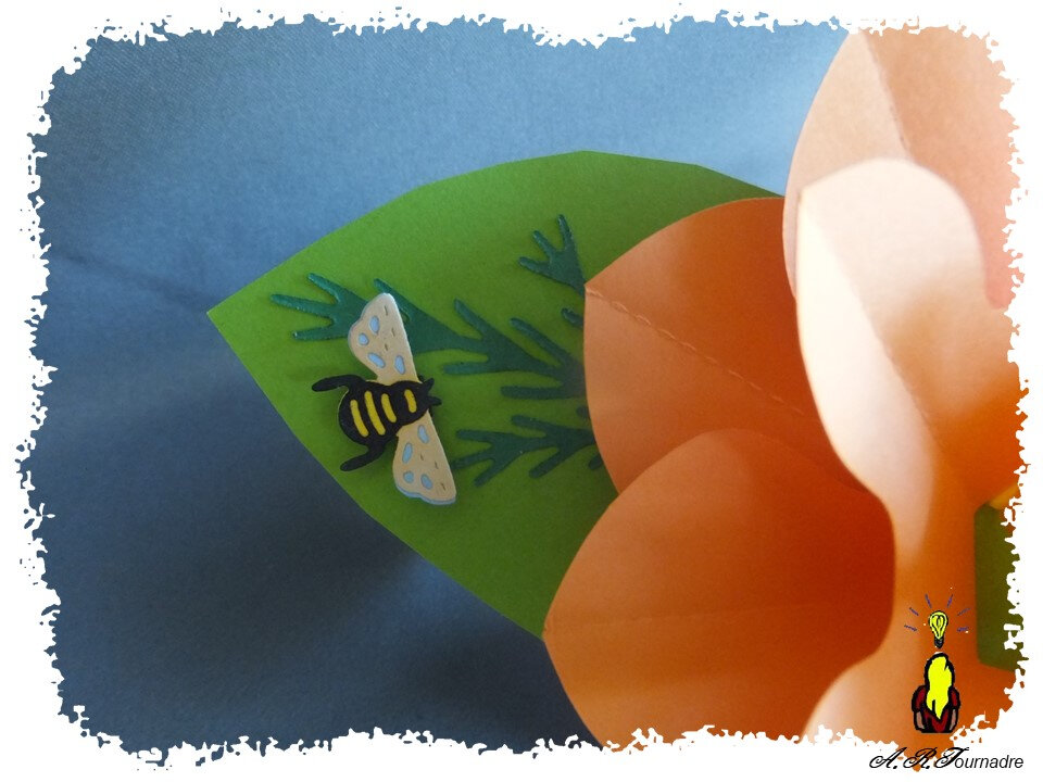 ART 2020 09 boite cadeau & fleur orange 4