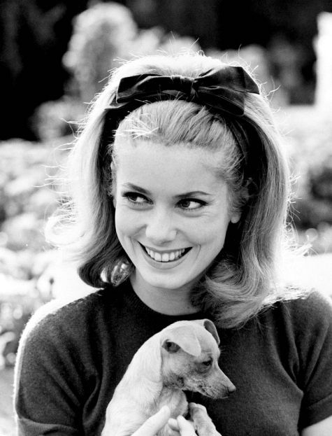 deneuve & dog