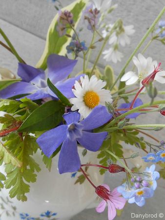 fleurs3